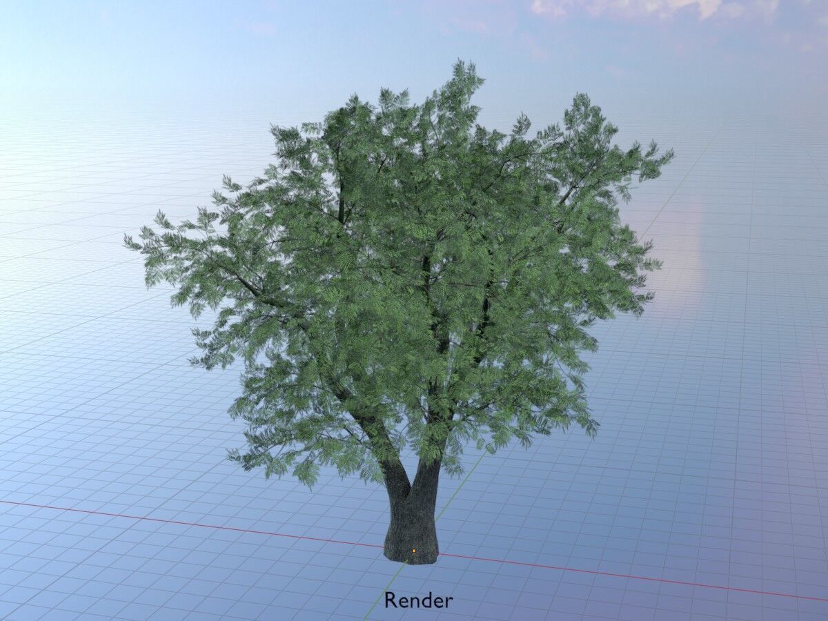Japanese pagoda tree summer 16000mm Low-poly 3D model_19