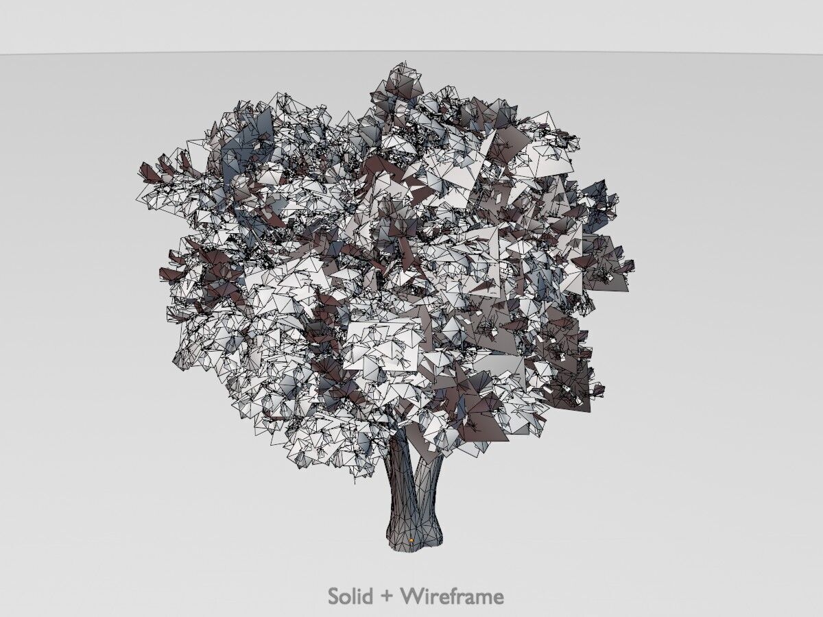 Japanese pagoda tree summer 16000mm Low-poly 3D model_12