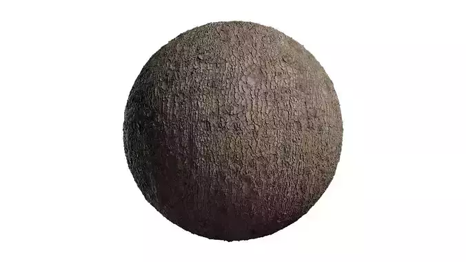 Anydrafts Pinus Bark 02