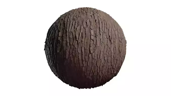 Anydrafts Pinus Bark 04