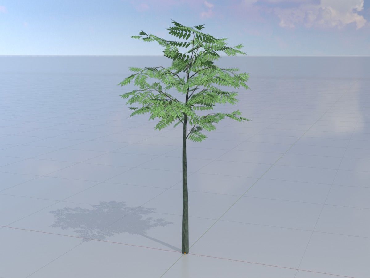 Japanese pagoda tree summer Package 3D Model Collection_15