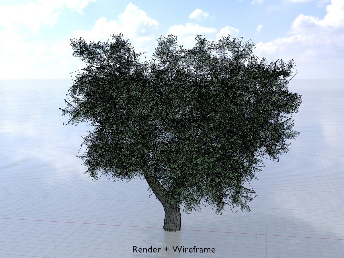 Japanese pagoda tree summer Package 3D Model Collection_77