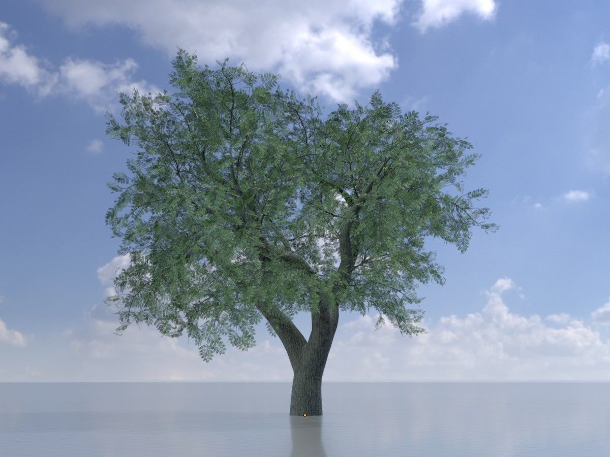 Japanese pagoda tree summer Package 3D Model Collection_74