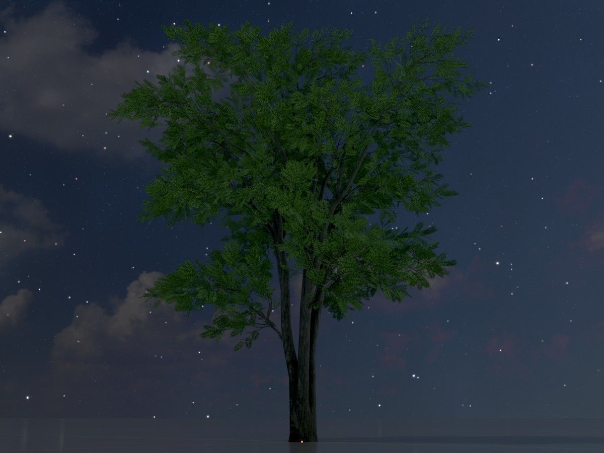 Japanese pagoda tree summer Package 3D Model Collection_56