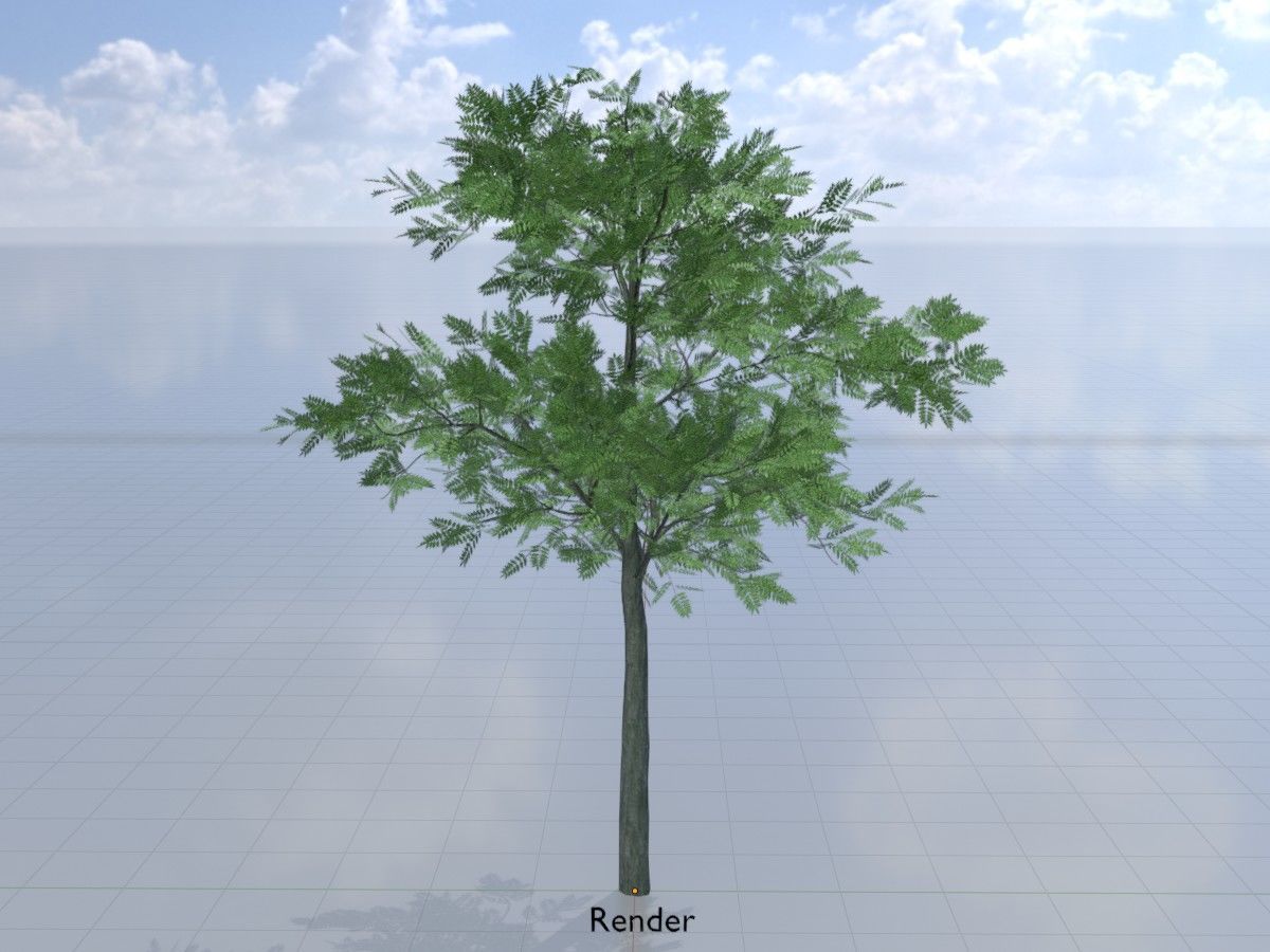 Japanese pagoda tree summer Package 3D Model Collection_46