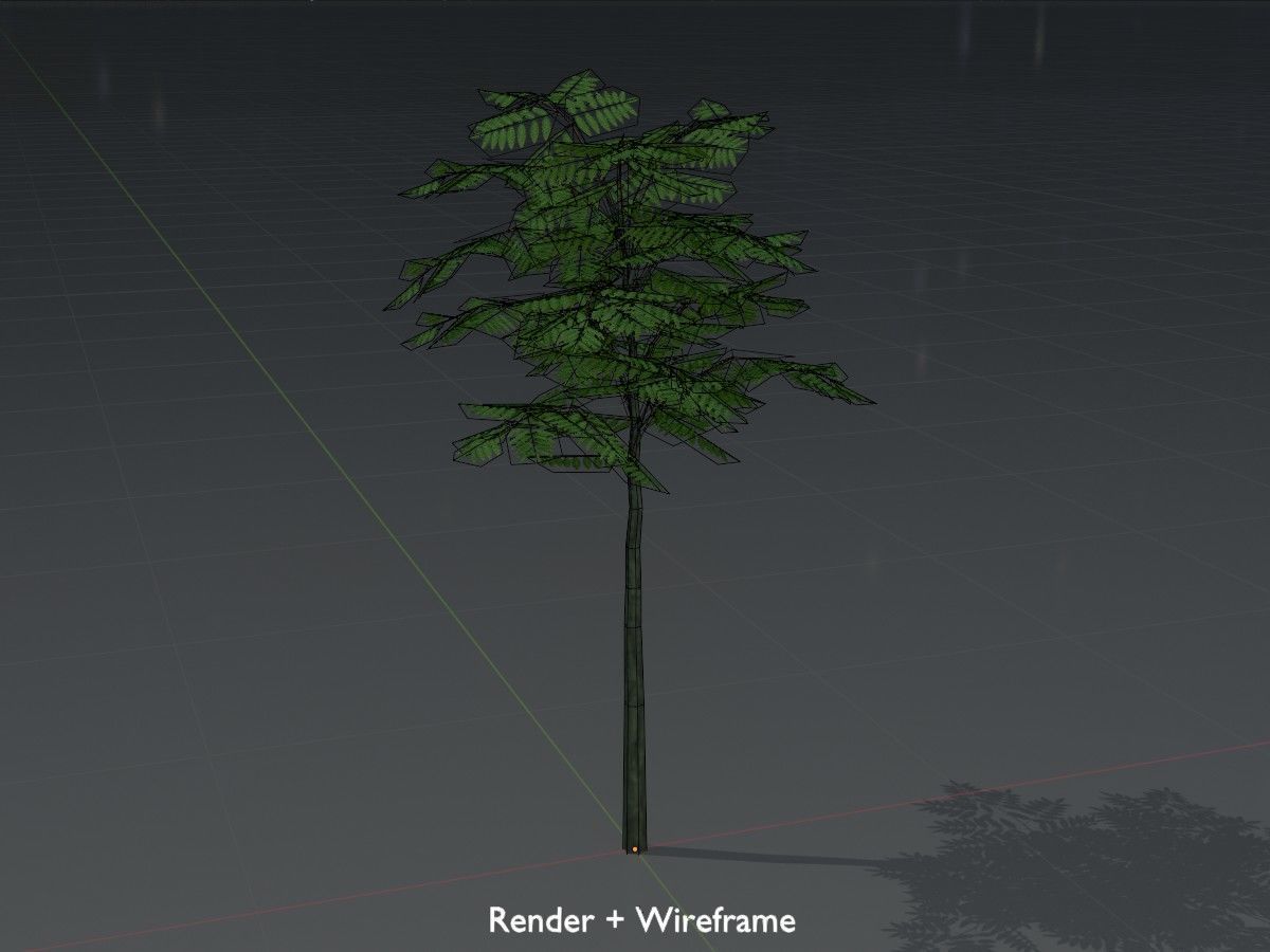 Japanese pagoda tree summer Package 3D Model Collection_20