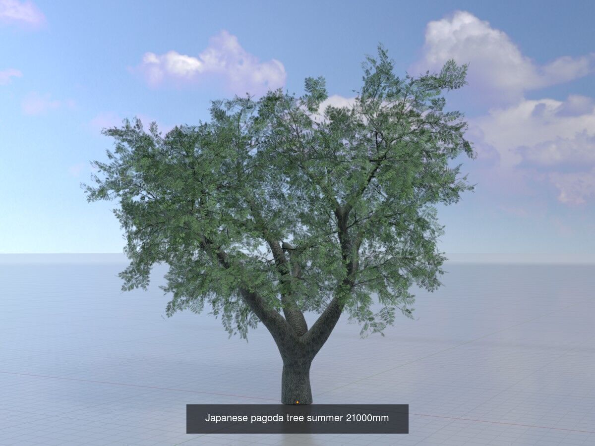 Japanese pagoda tree summer Package 3D Model Collection_12