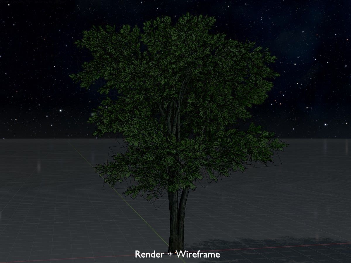 Japanese pagoda tree summer Package 3D Model Collection_60