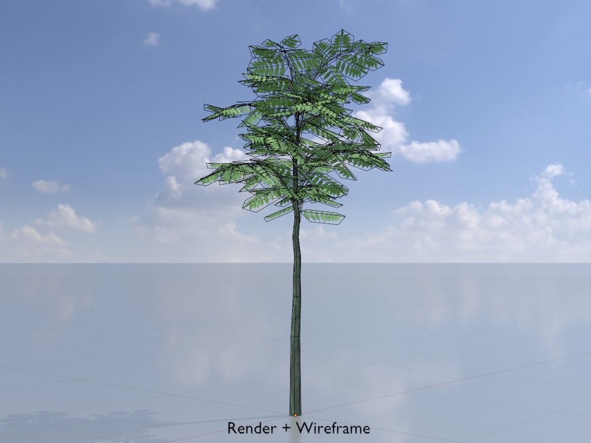 Japanese pagoda tree summer Package 3D Model Collection_18