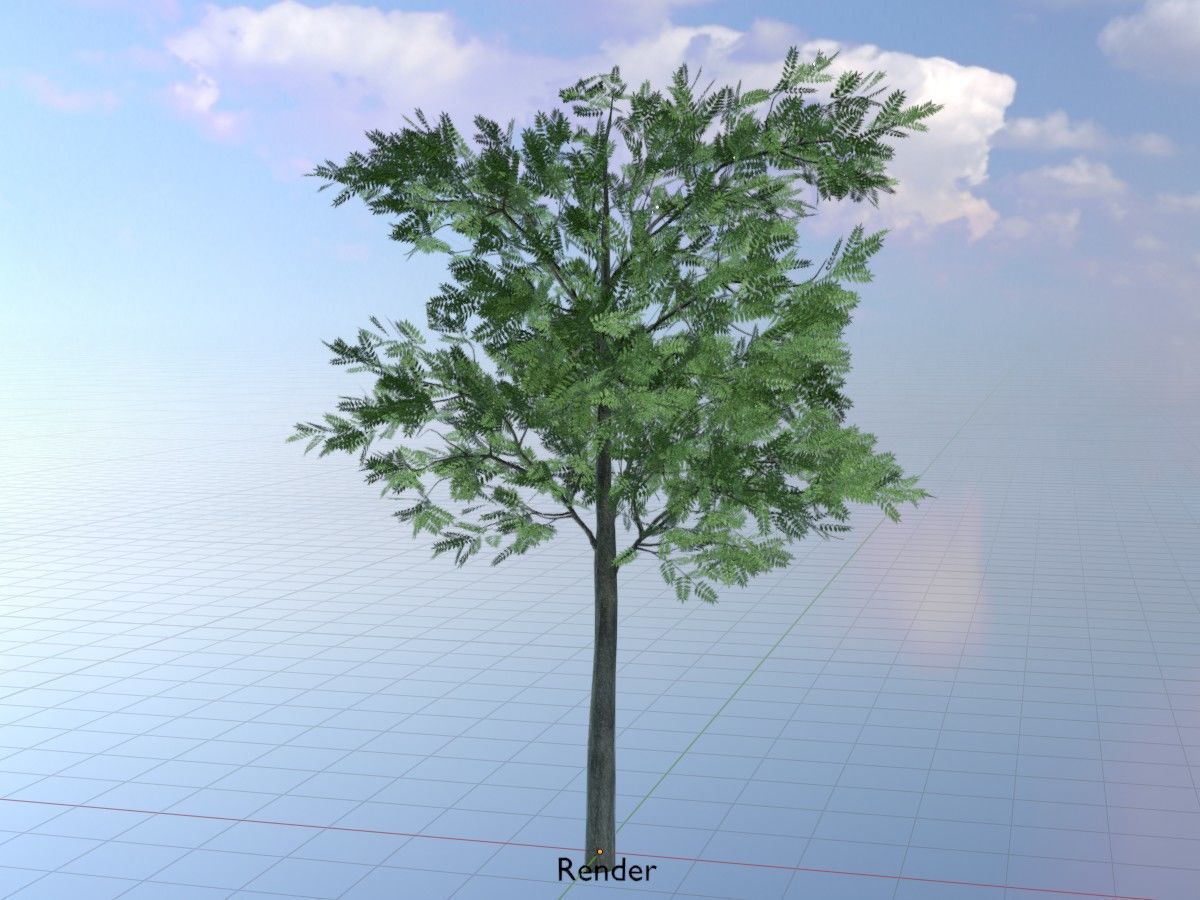 Japanese pagoda tree summer Package 3D Model Collection_51