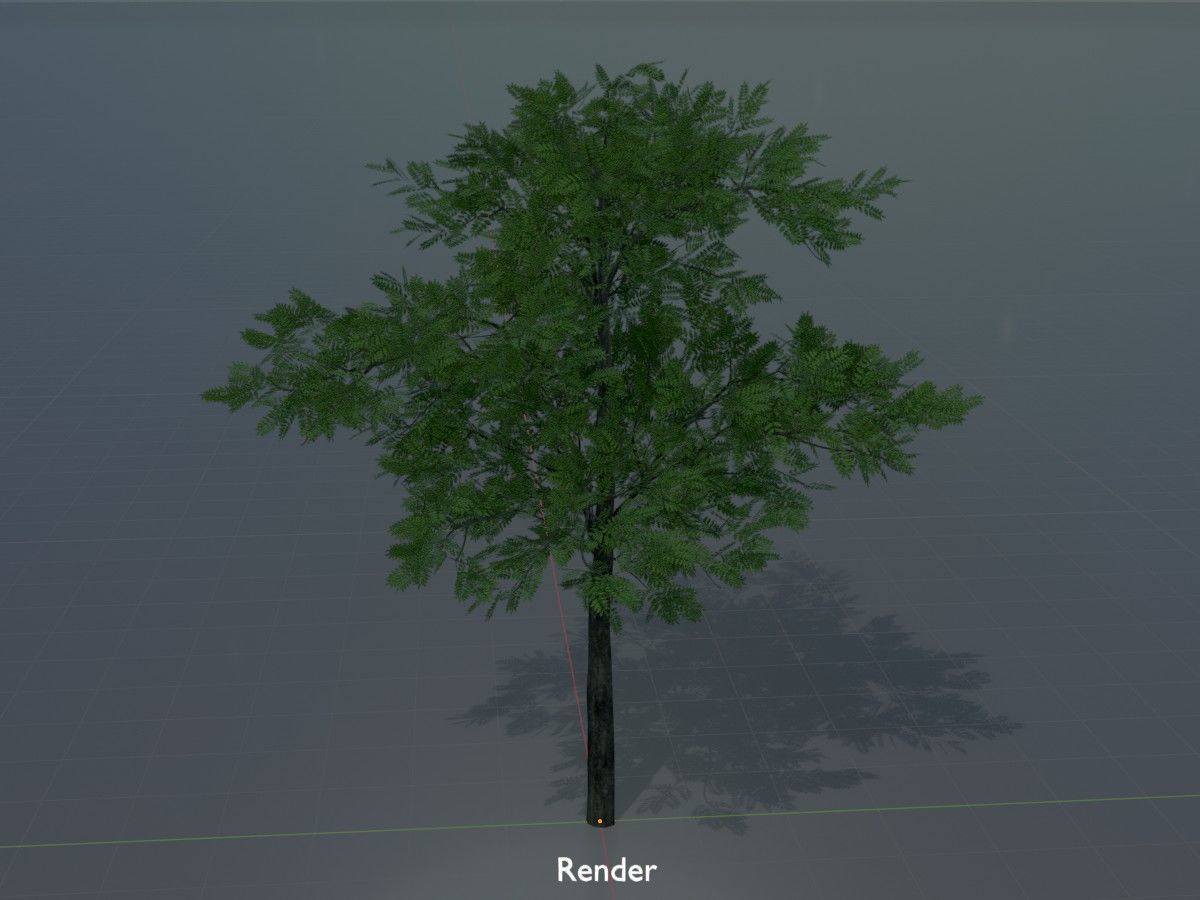 Japanese pagoda tree summer Package 3D Model Collection_48