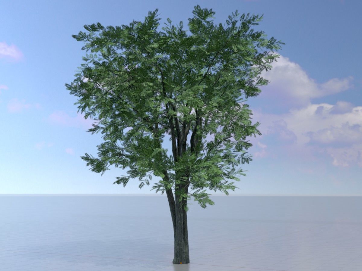 Japanese pagoda tree summer Package 3D Model Collection_55