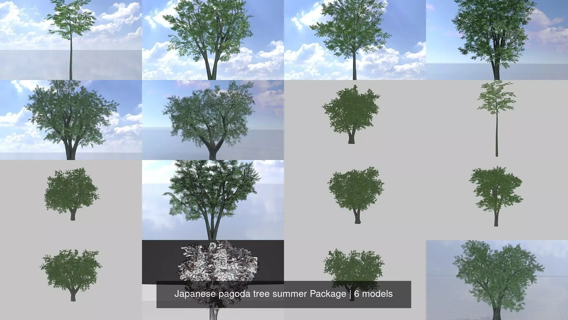 Japanese pagoda tree summer Package 3D Model Collection_0