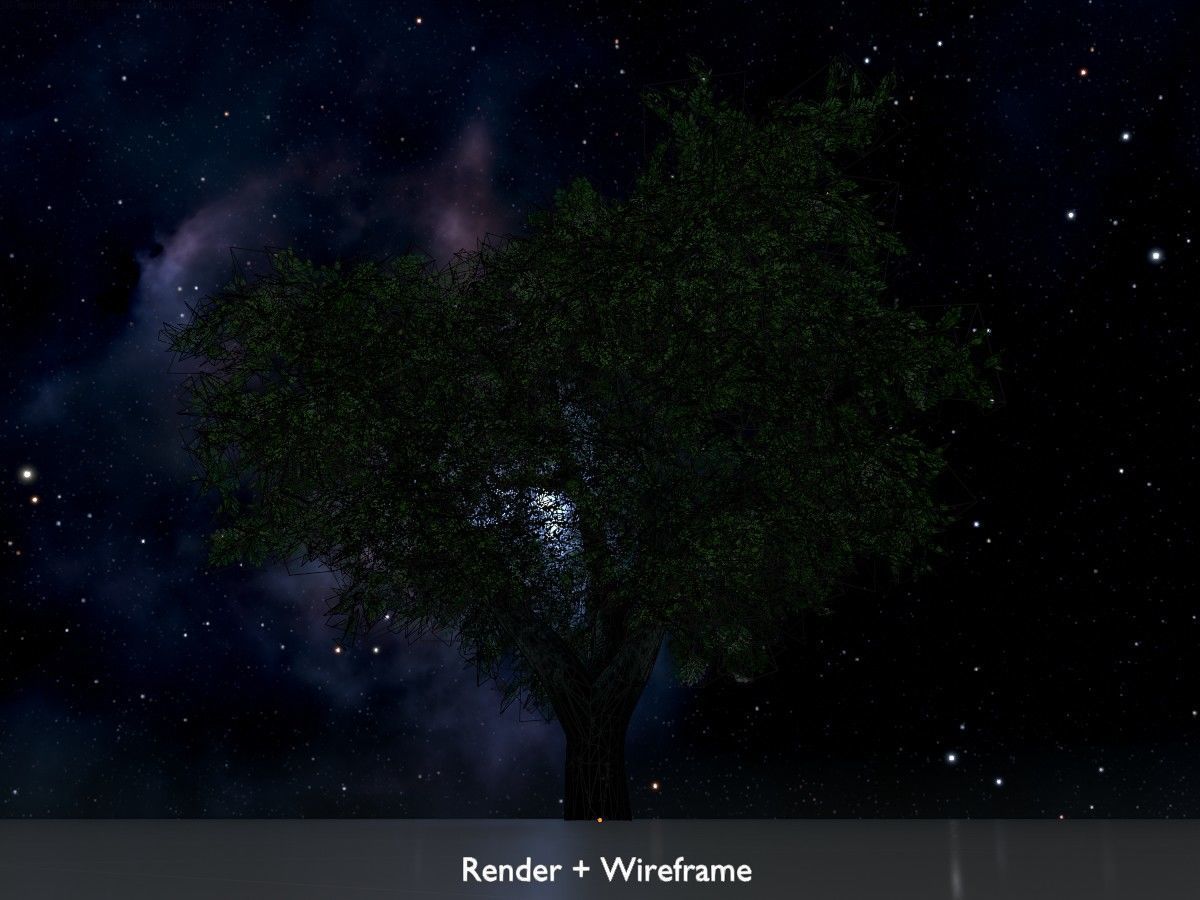 Japanese pagoda tree summer Package 3D Model Collection_79