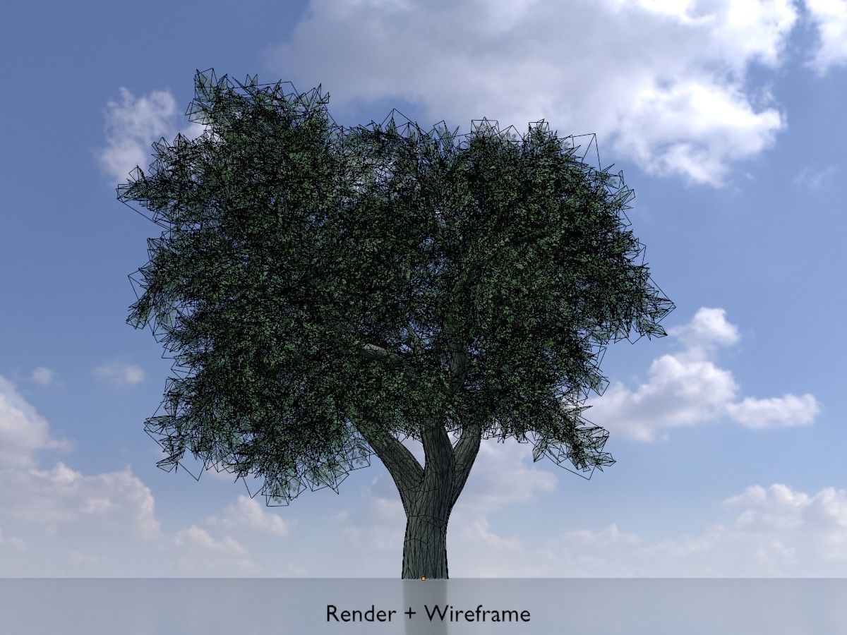 Japanese pagoda tree summer Package 3D Model Collection_78