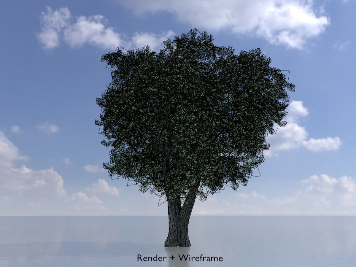 Japanese pagoda tree summer Package 3D Model Collection_68
