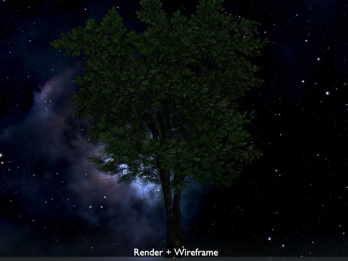 Japanese pagoda tree summer Package 3D Model Collection_59