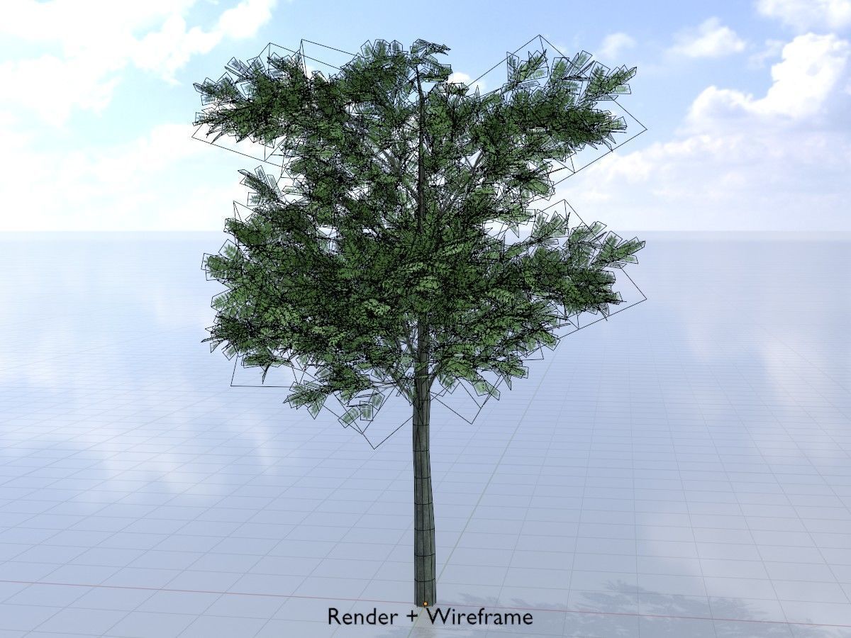 Japanese pagoda tree summer Package 3D Model Collection_37