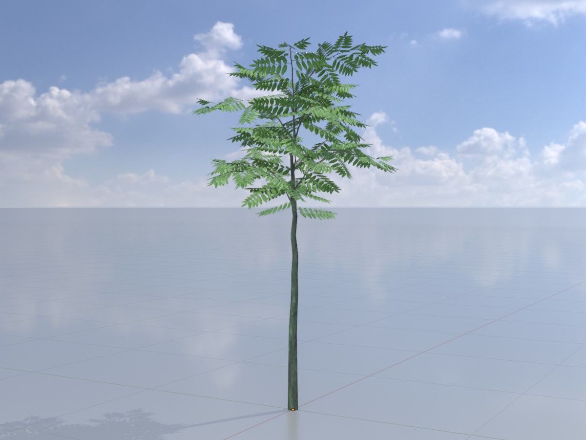 Japanese pagoda tree summer Package 3D Model Collection_14