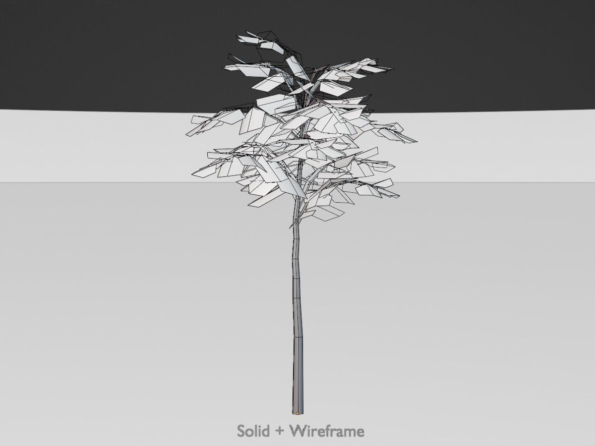 Japanese pagoda tree summer Package 3D Model Collection_23