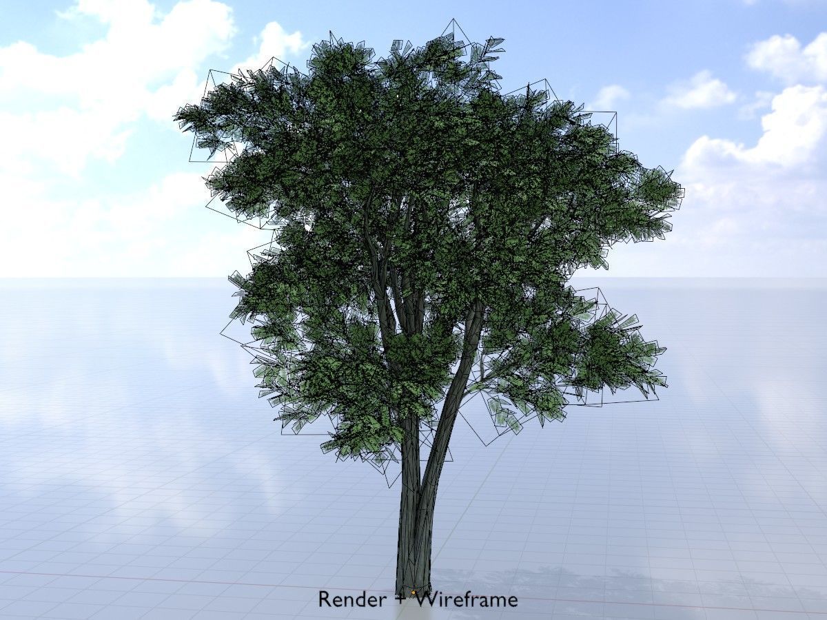 Japanese pagoda tree summer Package 3D Model Collection_57