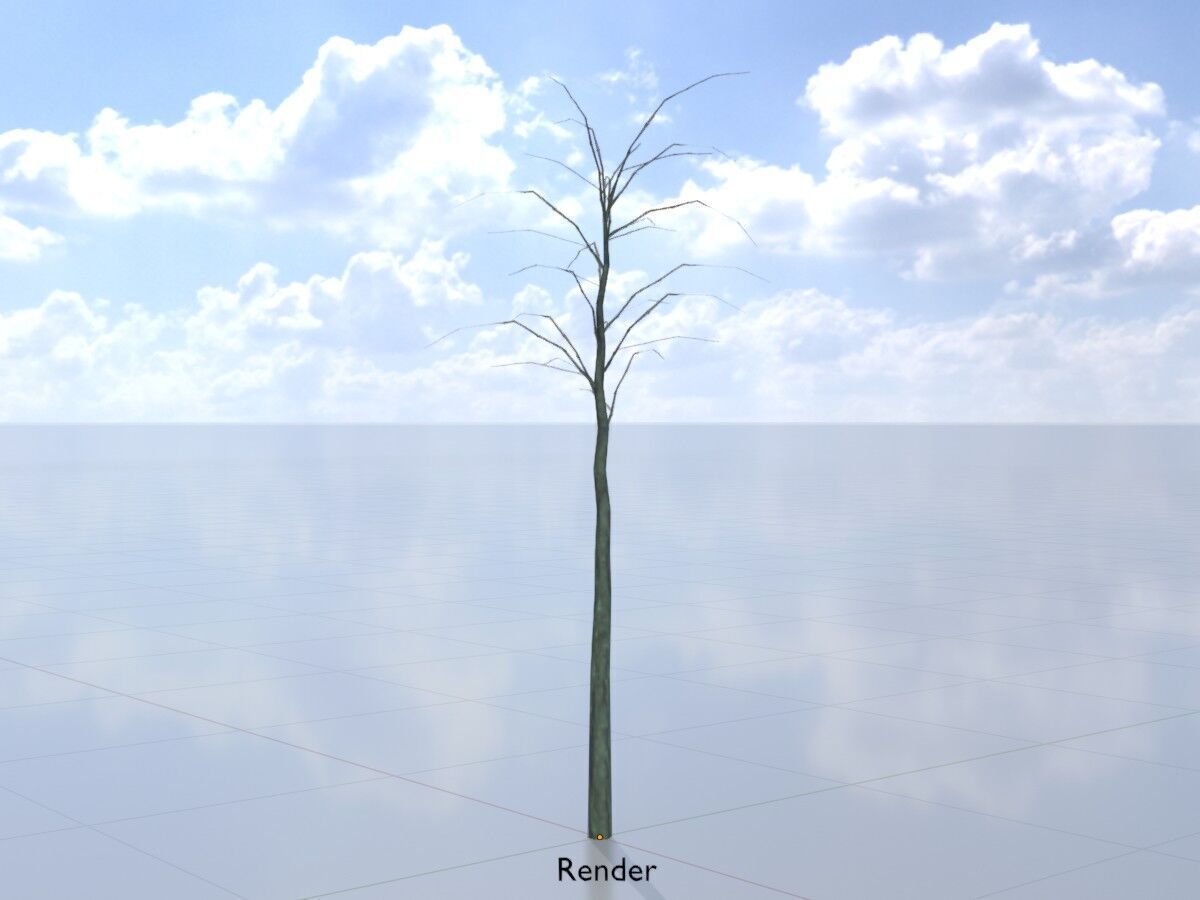 Japanese pagoda tree winter 2000mm Low-poly 3D model_13