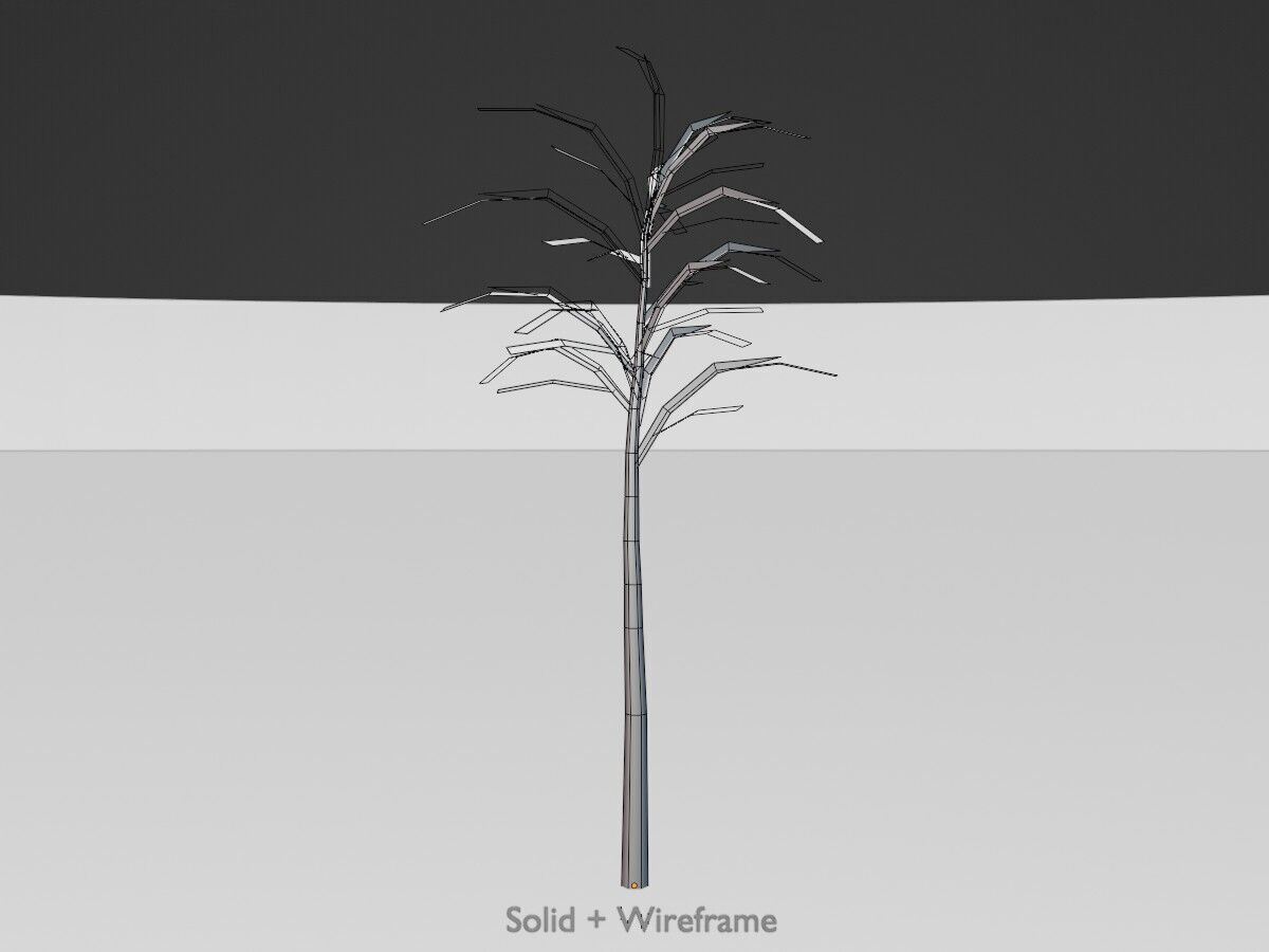 Japanese pagoda tree winter 2000mm Low-poly 3D model_10