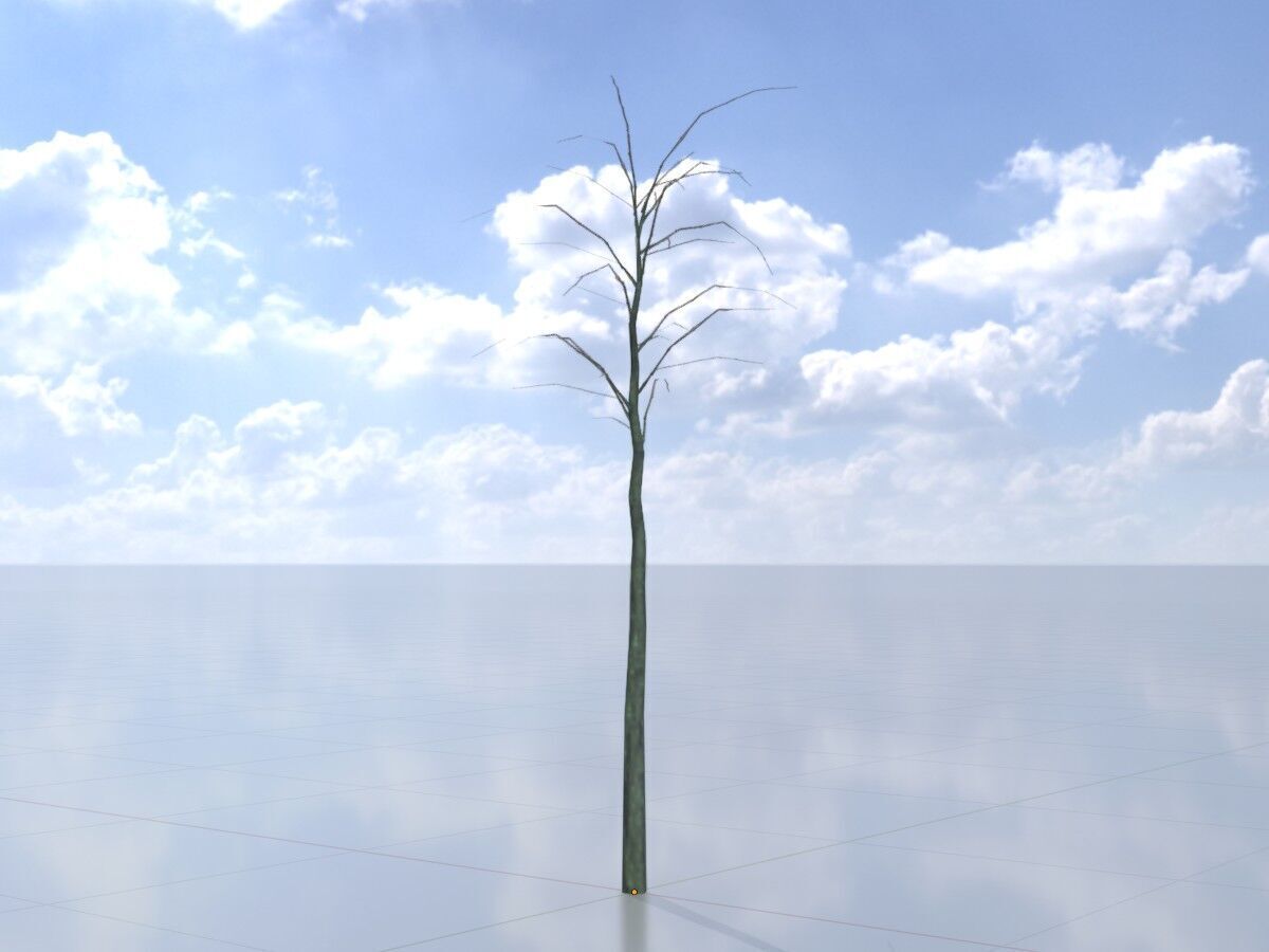 Japanese pagoda tree winter 2000mm Low-poly 3D model_2