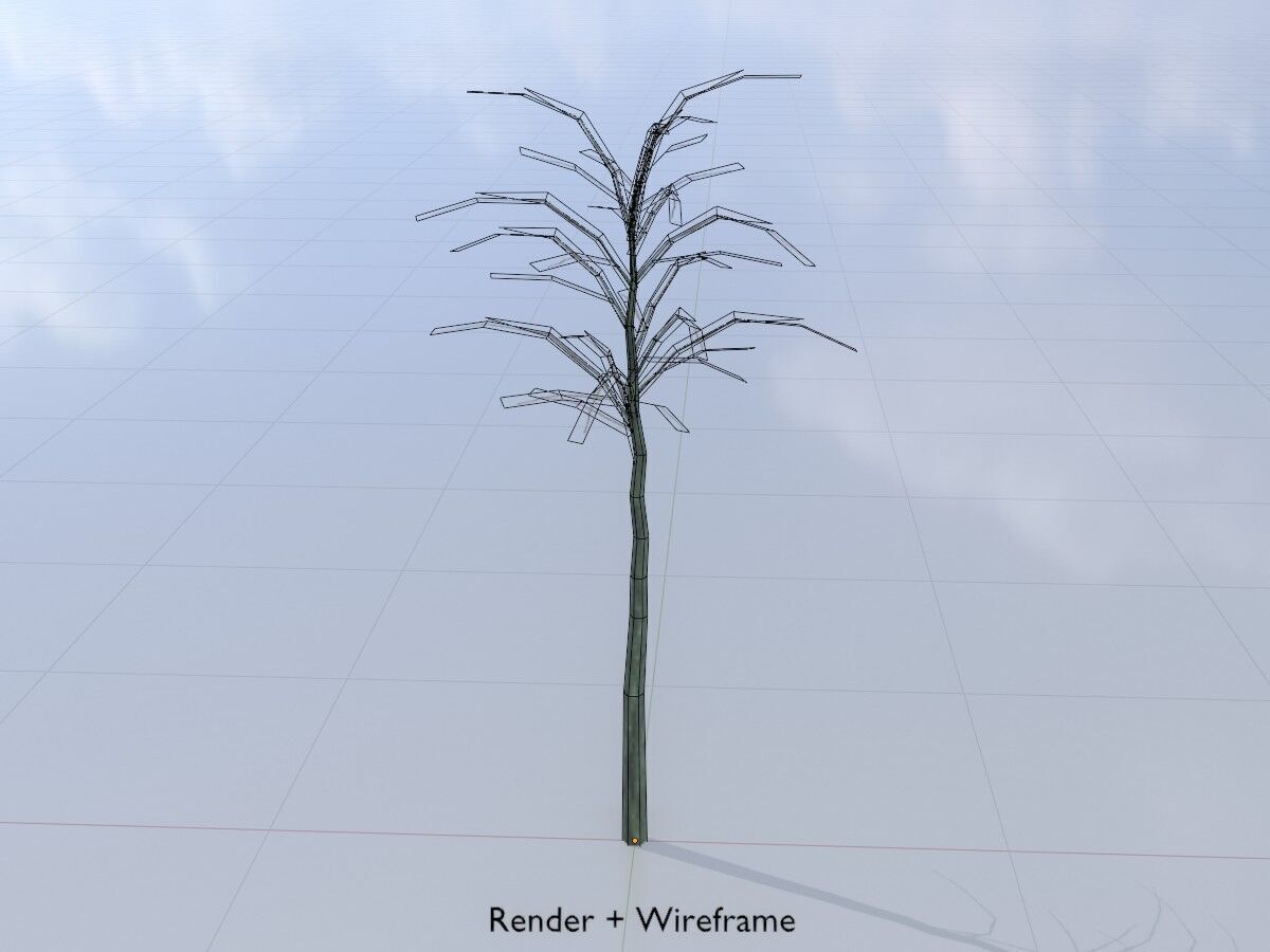 Japanese pagoda tree winter 2000mm Low-poly 3D model_5