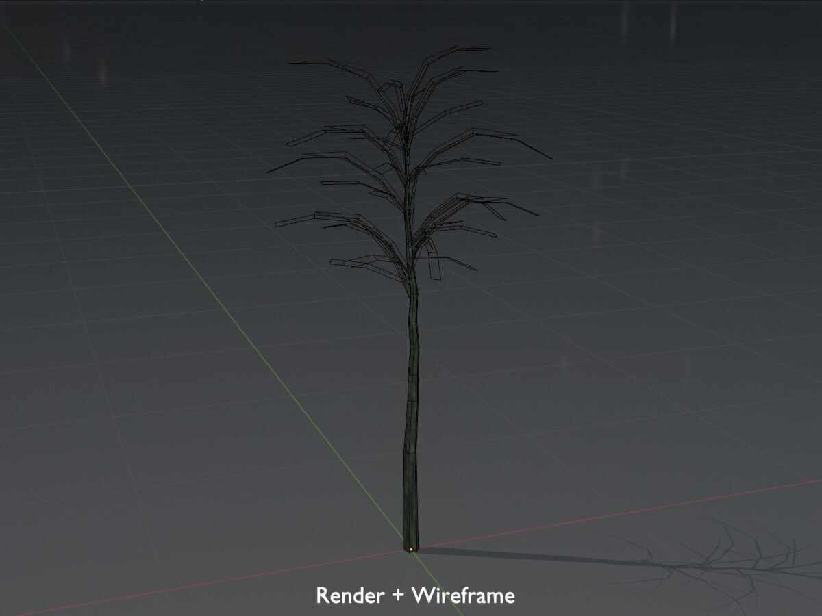 Japanese pagoda tree winter 2000mm Low-poly 3D model_8