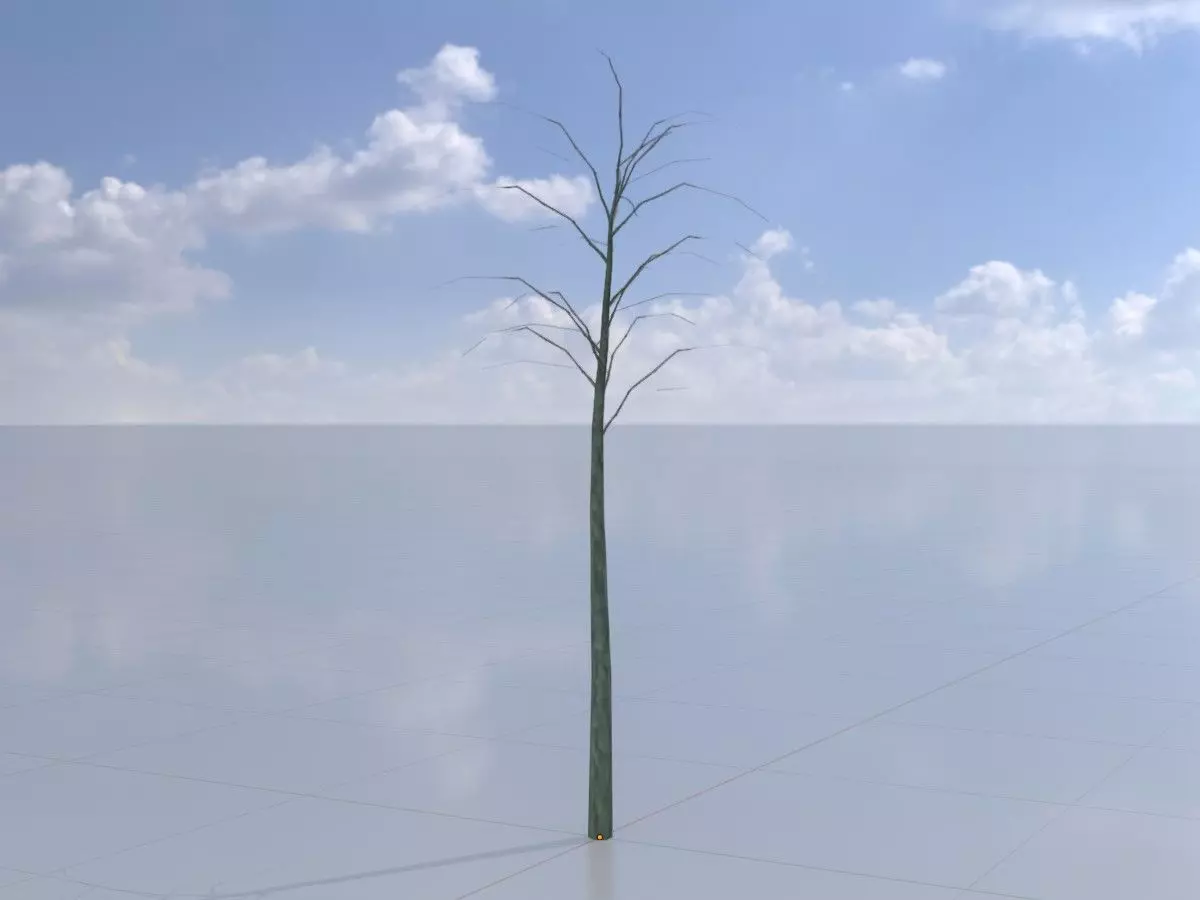 Japanese pagoda tree winter 2000mm Low-poly 3D model_0