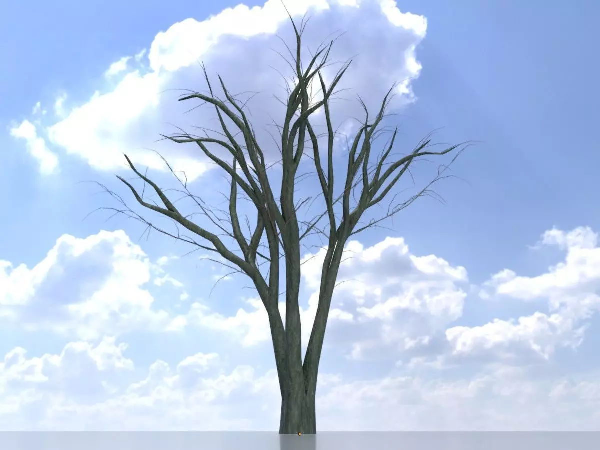 Japanese pagoda tree winter 5000mm Low-poly 3D model_0