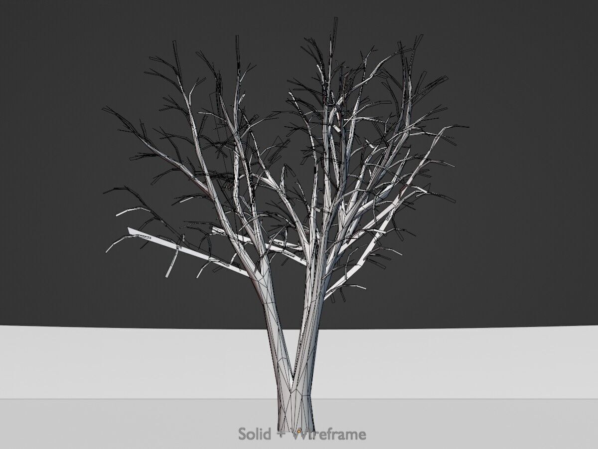 Japanese pagoda tree winter 5000mm Low-poly 3D model_11