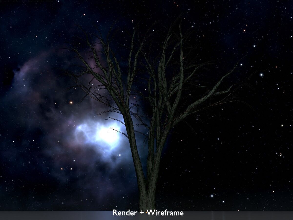 Japanese pagoda tree winter 5000mm Low-poly 3D model_8