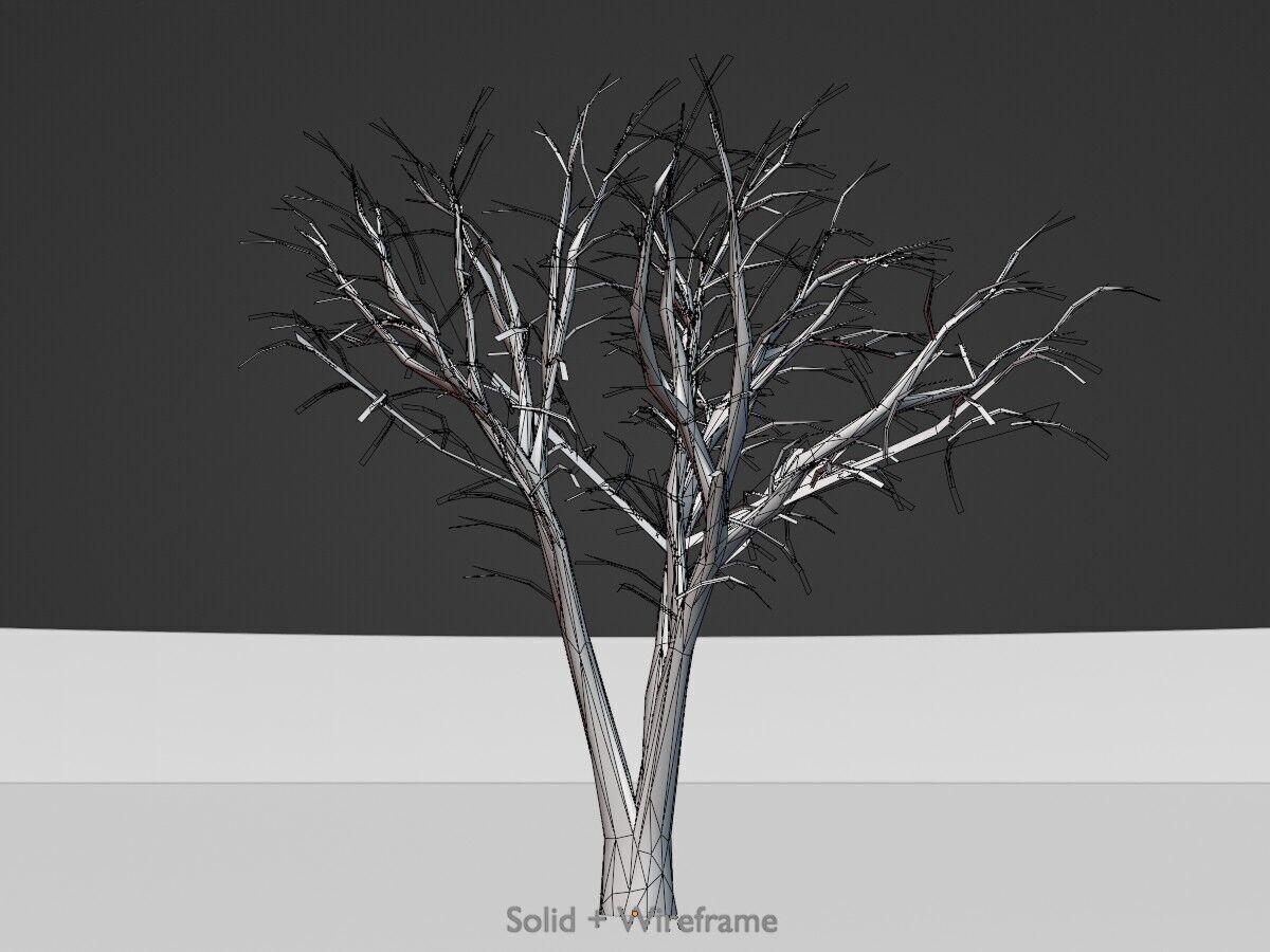 Japanese pagoda tree winter 5000mm Low-poly 3D model_12