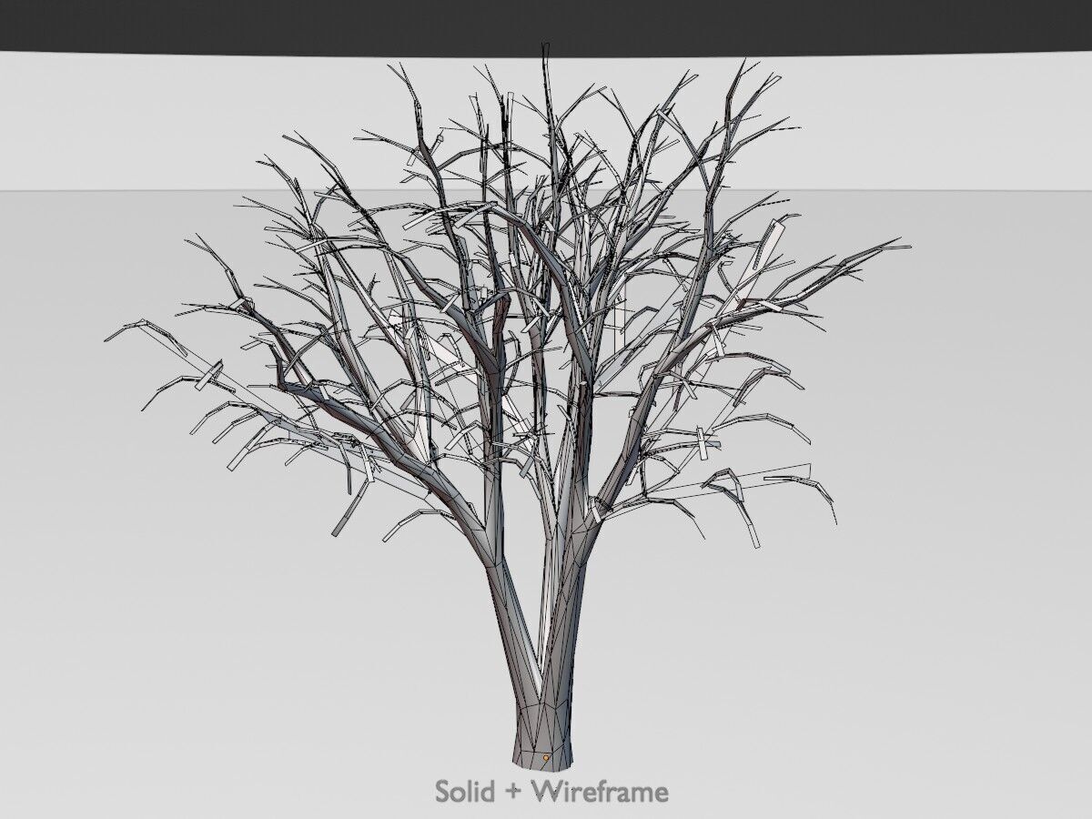 Japanese pagoda tree winter 5000mm Low-poly 3D model_13