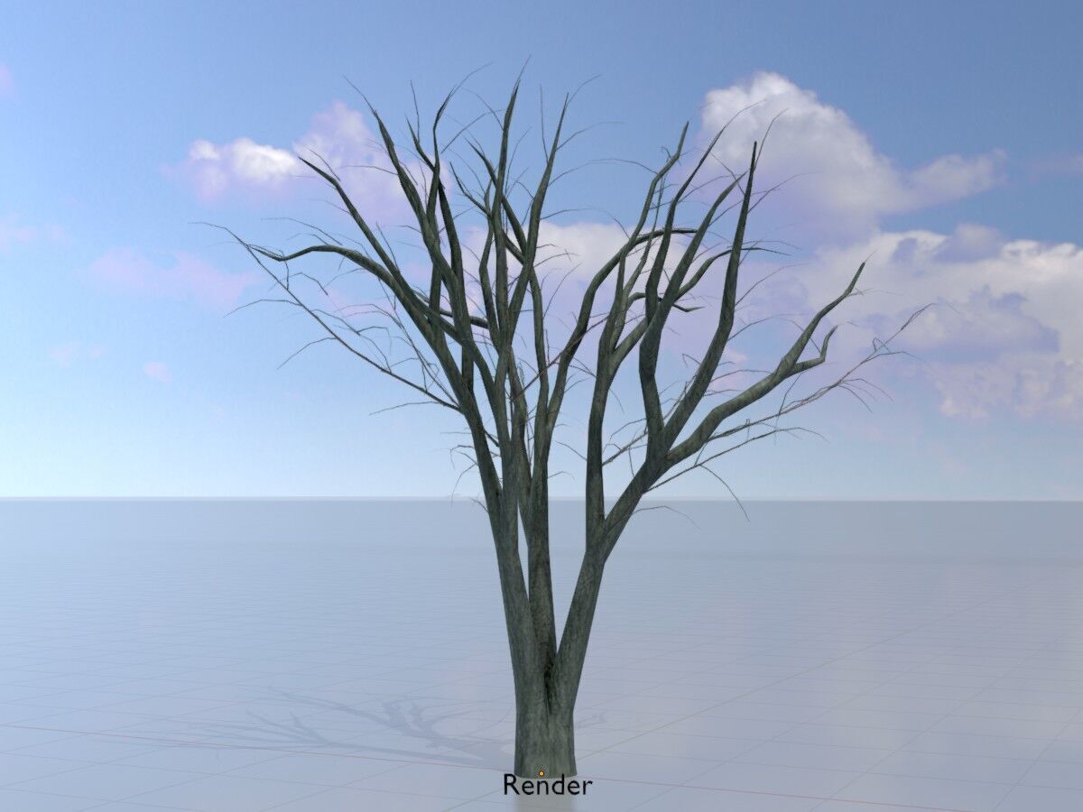 Japanese pagoda tree winter 5000mm Low-poly 3D model_16