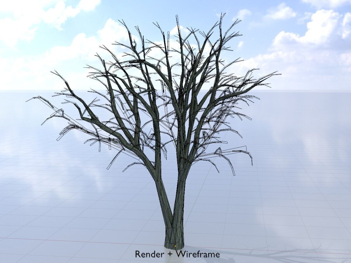 Japanese pagoda tree winter 5000mm Low-poly 3D model_6
