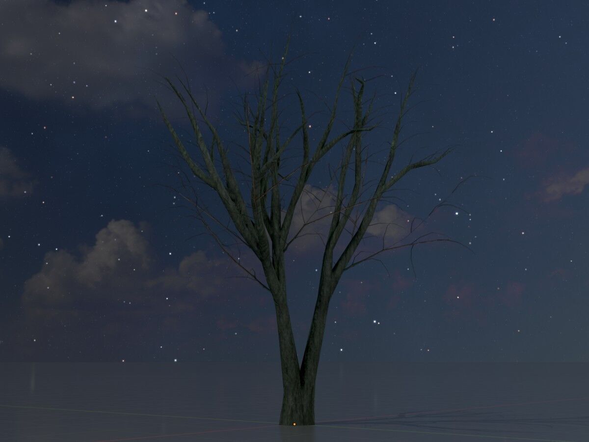 Japanese pagoda tree winter 5000mm Low-poly 3D model_4