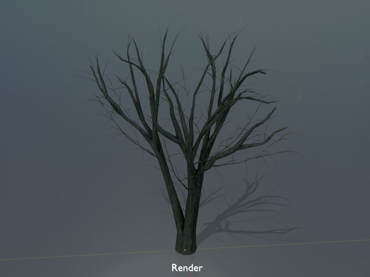 Japanese pagoda tree winter 5000mm Low-poly 3D model_5