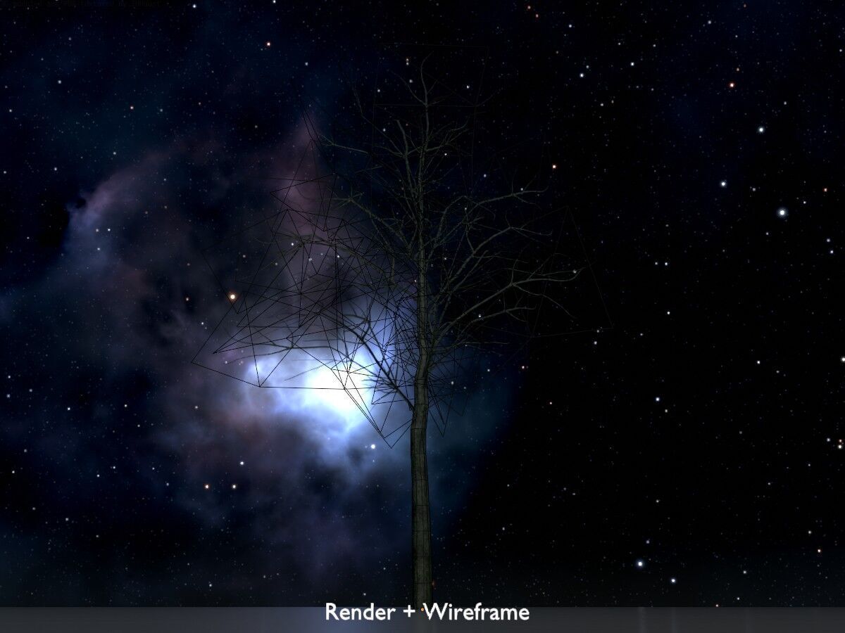 Japanese pagoda tree winter 8000mm Low-poly 3D model_8