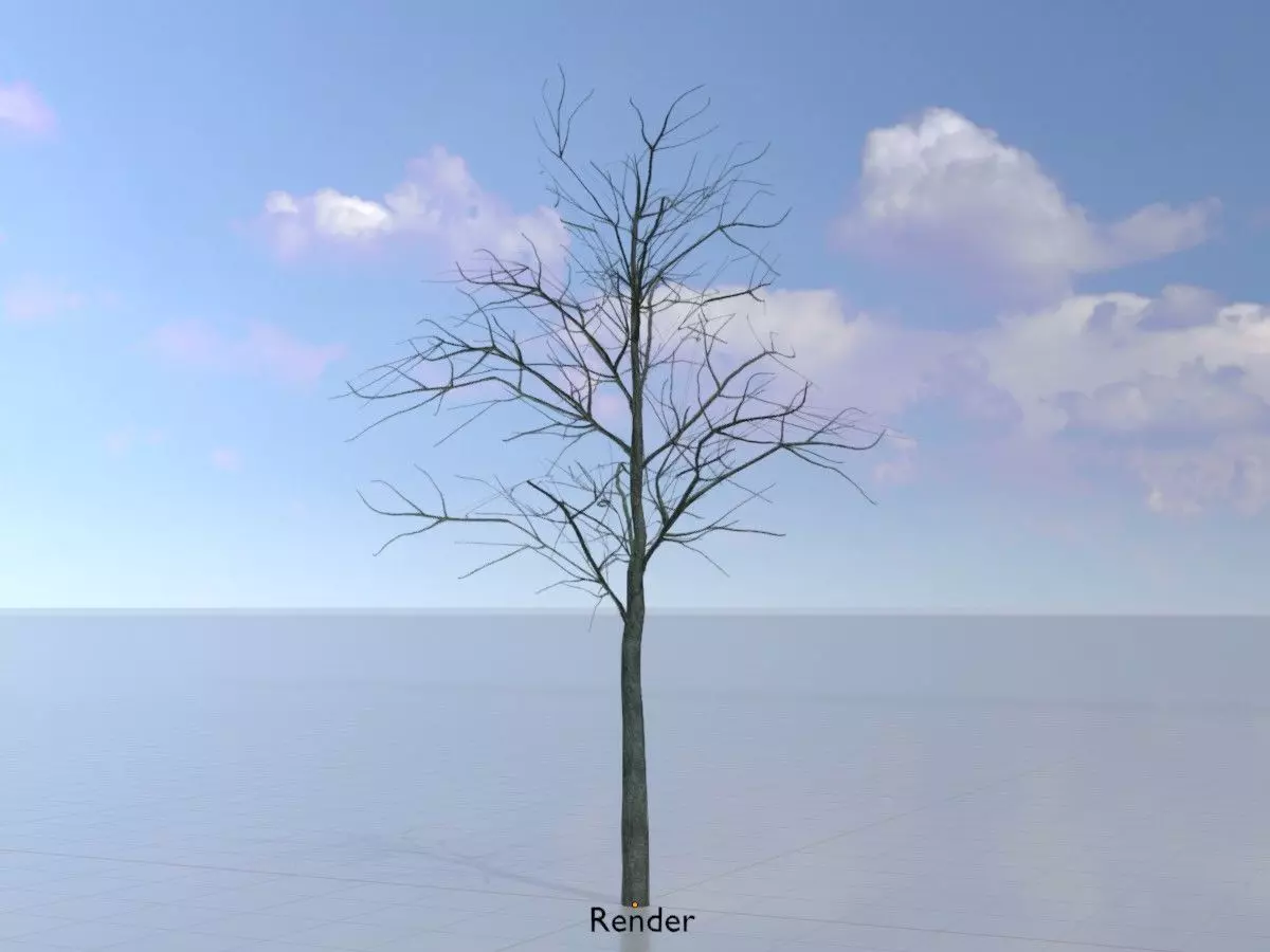 Japanese pagoda tree winter 8000mm Low-poly 3D model_0