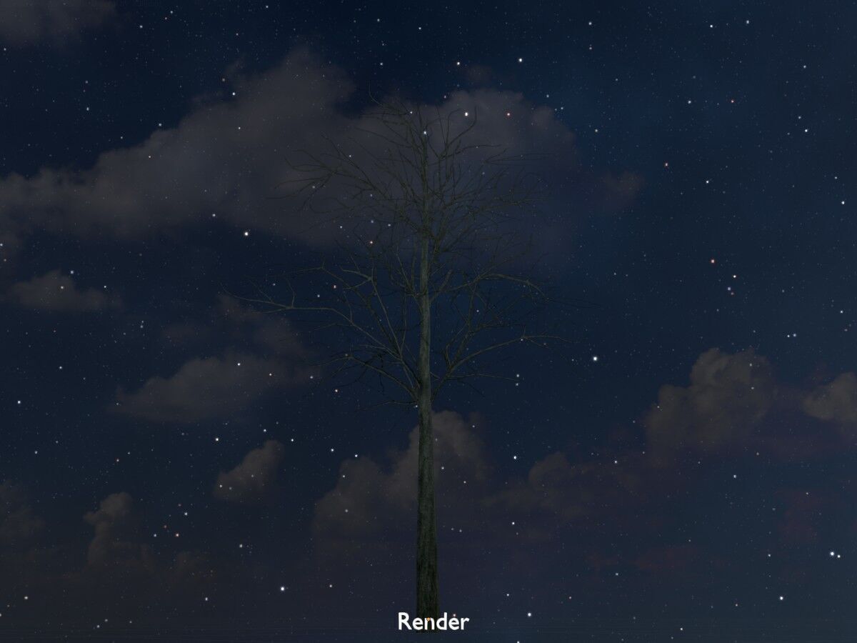 Japanese pagoda tree winter 8000mm Low-poly 3D model_20