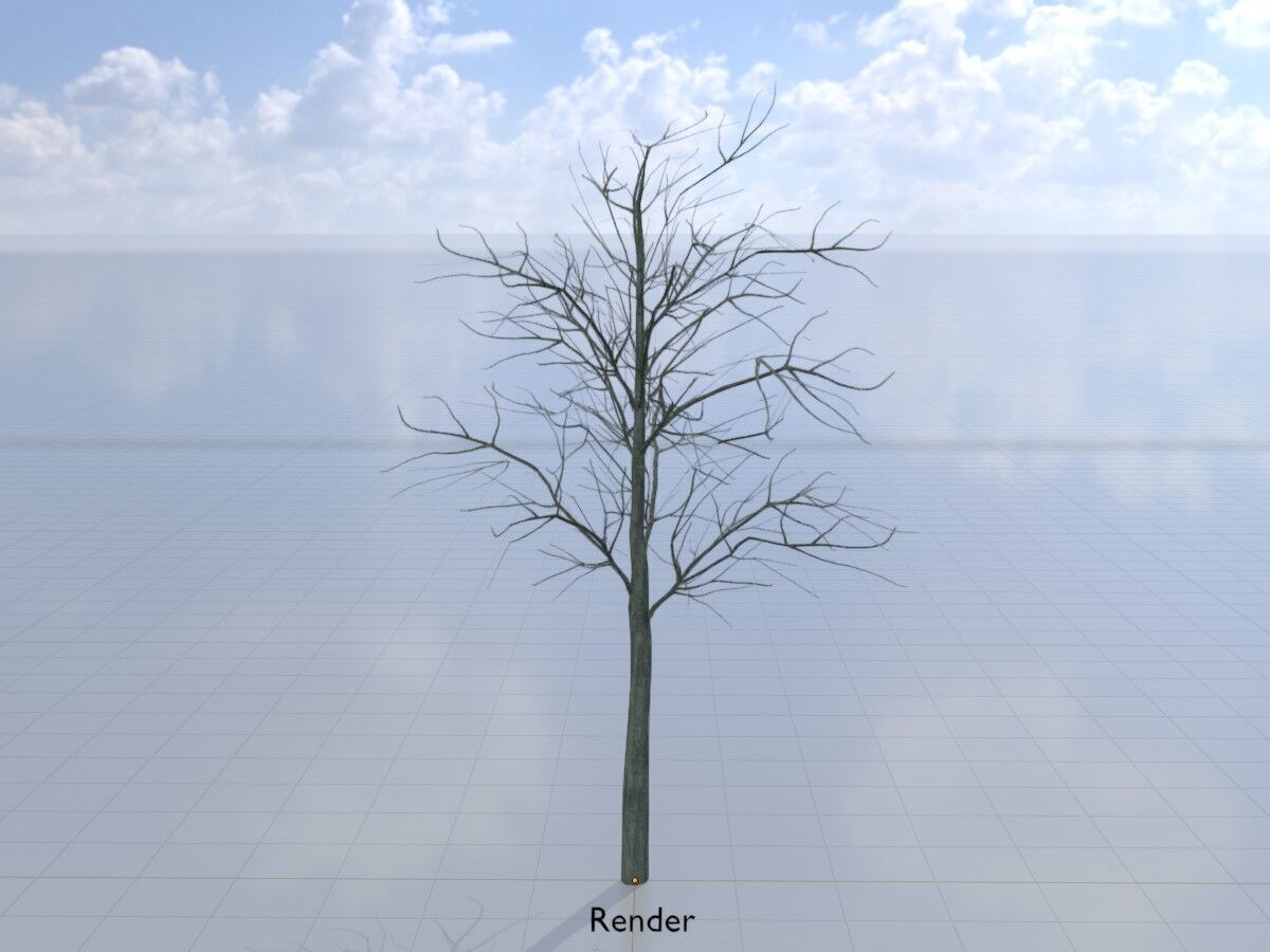 Japanese pagoda tree winter 8000mm Low-poly 3D model_15