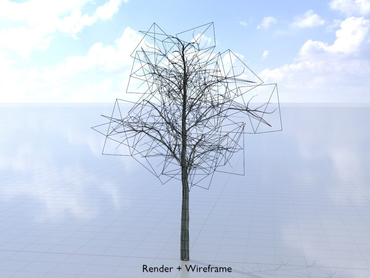 Japanese pagoda tree winter 8000mm Low-poly 3D model_6