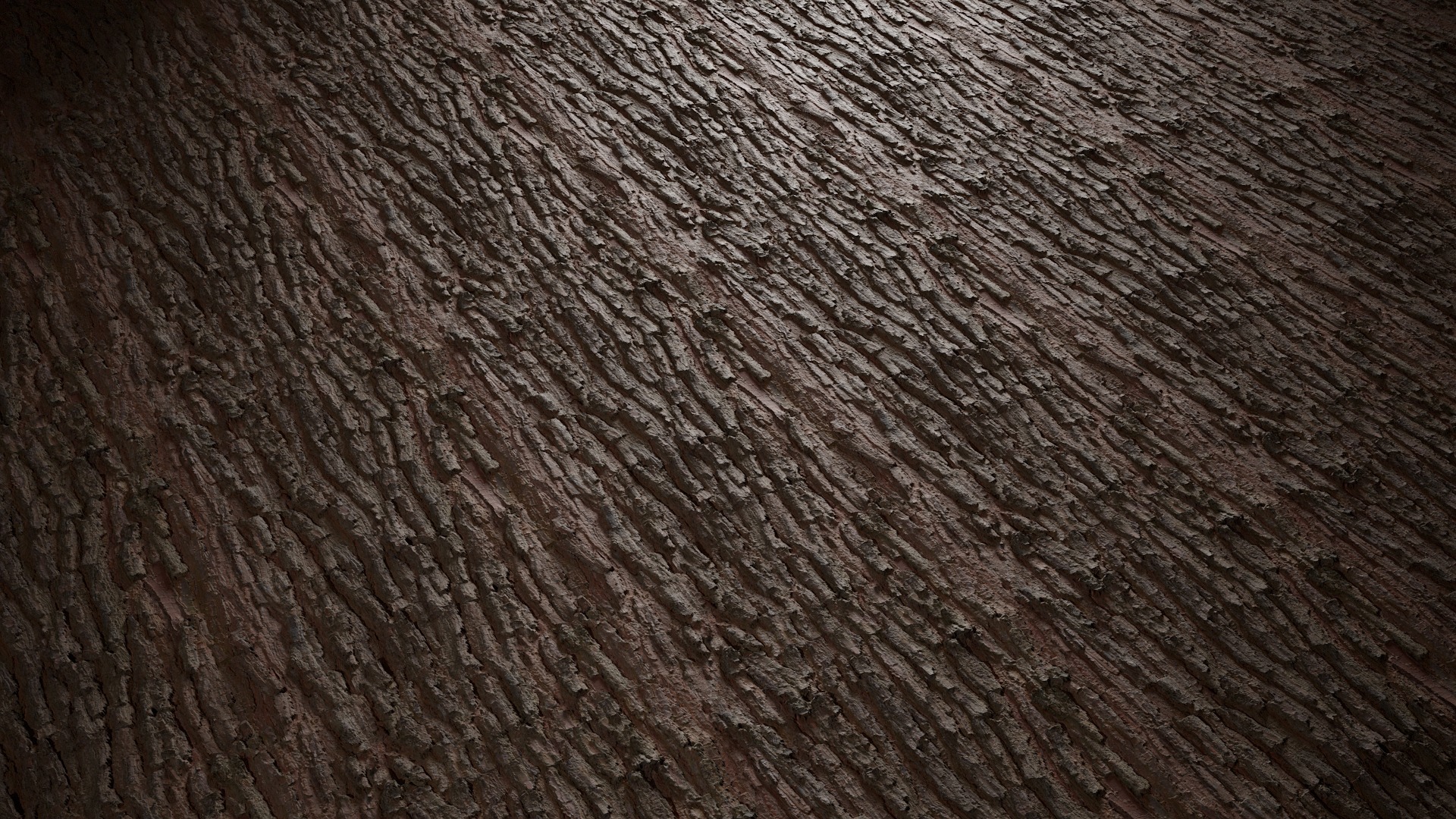 Anydrafts Pinus Bark 08 Texture_4