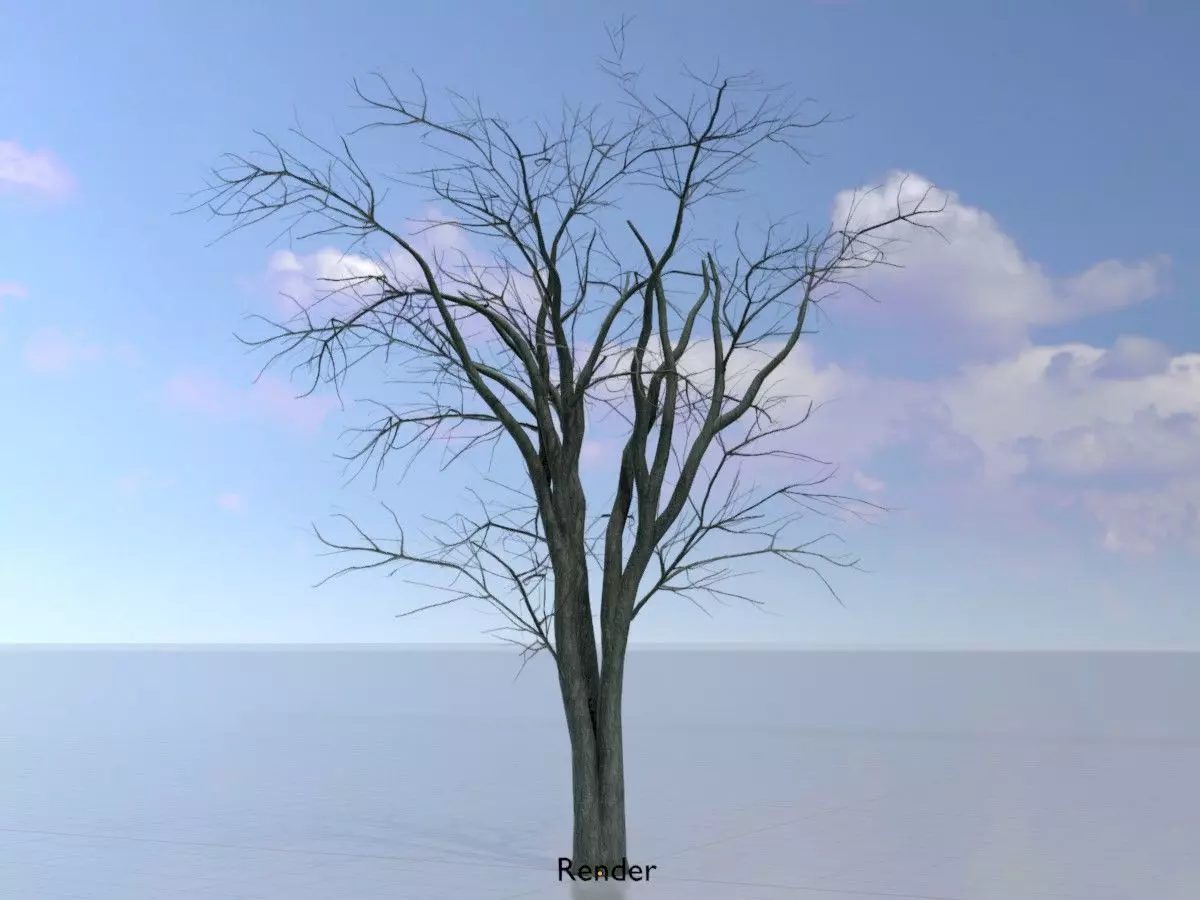 Japanese pagoda tree winter 12000mm Low-poly 3D model