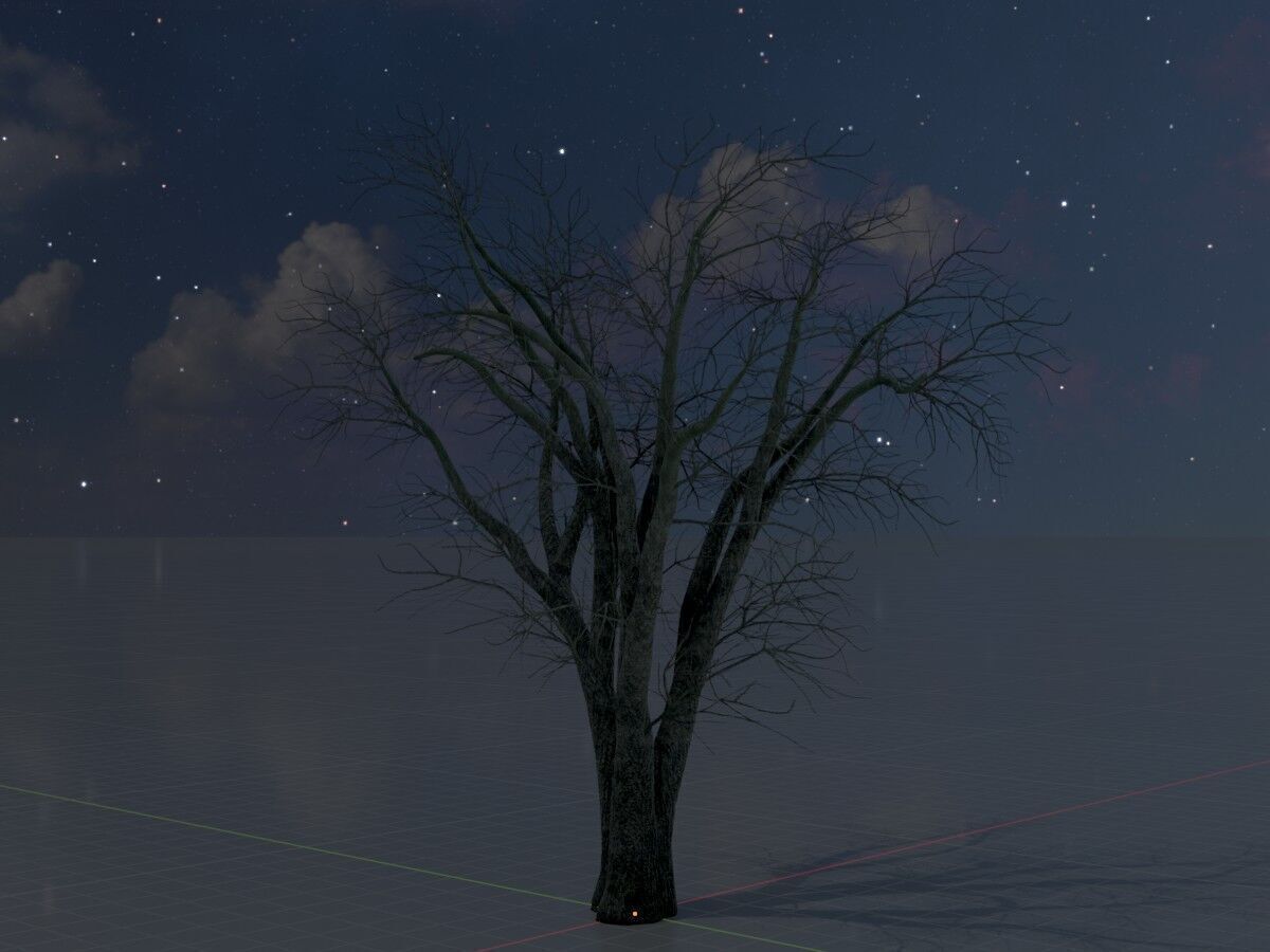 Japanese pagoda tree winter 16000mm Low-poly 3D model_5