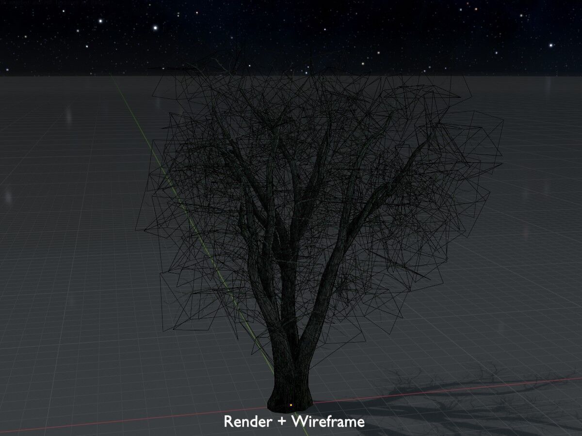 Japanese pagoda tree winter 16000mm Low-poly 3D model_9