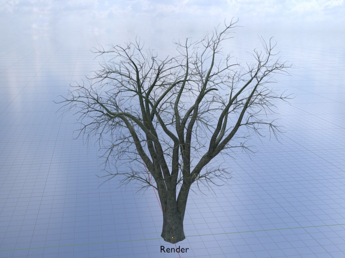 Japanese pagoda tree winter 16000mm Low-poly 3D model_18